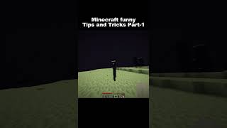 Minecraft funny tips and tricks part1 indiangamer hindigameplay minecraftfunny funny [upl. by Cahra]