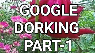 Google Dorking Tutorial Bangla  Google Dork Searching  Ethical Hacking Tool  jritbd [upl. by Ordnasil]