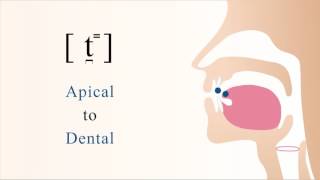 t̪⁼  unvoiced unaspirated apical dental stop [upl. by Hares393]