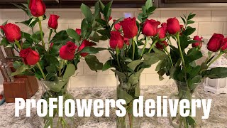 PROFLOWERS AND SHARIS BERRIES UNBOXING [upl. by Robinette]