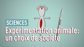 Fautil se passer de l’expérimentation animale [upl. by Orlantha578]