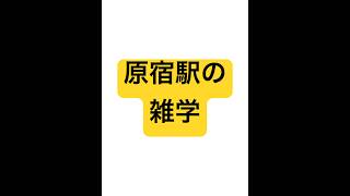 原宿駅の雑学 原宿 竹下通り 表参道 [upl. by Werby689]