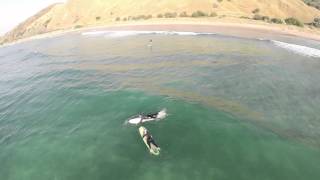 Surfing In Gisborne from an aerial perspective [upl. by Goddord]