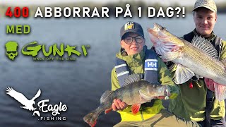 400 Abborrar på En Dag Abborrutbildning Med Gunki [upl. by Nwahser]