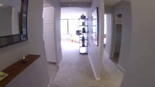 Streeterville Chicago Apartments  Mcclurg Court  Convertible Model  GoPro Tour [upl. by Tteirrah610]