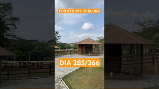 PROJETO BITCOIN TODO DIA 285366 BTCTodoDia Investimentos Altcoins Criptomoedas Dolar [upl. by Raquela247]