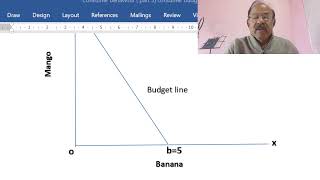 Budget line and Budget constraint [upl. by Sassan]