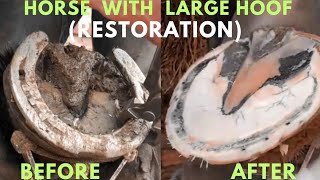 Shire Horse  Complete restoration  Shire Horse Restoration Compilation [upl. by Leuams950]