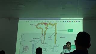 insuficiencia renal aguda [upl. by Hayila]