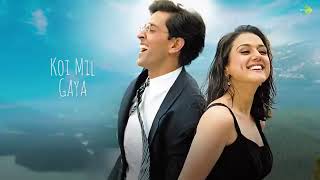 koi mil Gaya Song lyrics in hindi full song [upl. by Rebna]