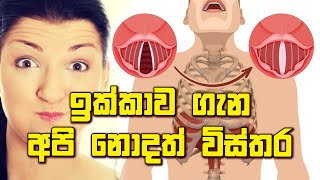 ඉක්කාව ගැන අපි නොදත් විස්තර Details we dont know about hiccups [upl. by Akemrehs710]