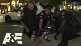 Live PD HitandRun Hobbled Episode 33  AampE [upl. by Janicki]