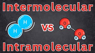 Intramolecular And Intermolecular Forces Chemistry Chemical Bonds High School Chemistry [upl. by Alimrahs445]