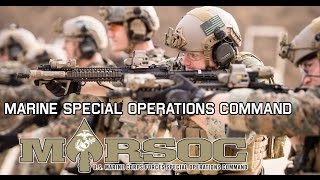 Marine Special Operations Command  MARSOC quotAlways Faithful Always Forwardquot [upl. by Baalman154]