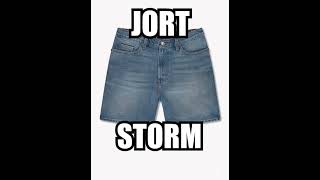 jort storm CLEAN [upl. by Itak]