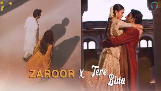 Zaroor X Tere Bina HD Full Version  Latest Trending Viral song of Instagram 2024 [upl. by Juback]