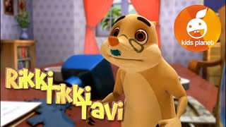 RIKKI TIKKI TAVI Episode 3  cartoons for kids  stories for children  Jungle book by R Kipling [upl. by Leamhsi619]