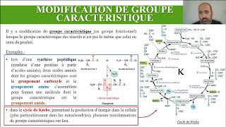 Transformations chimiques [upl. by Dorthea]