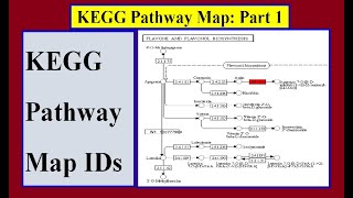 How to get the Kegg IDs for KEGG Pathway Map [upl. by Inah341]