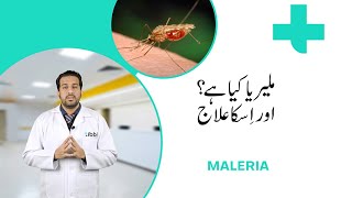 What is Malaria Symptoms causes and treatment A complete guide by tibbi [upl. by Bortman]