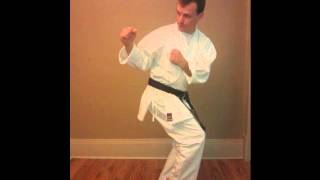 Ushiro Geri Keage  Back Snap Kick [upl. by Eirellam534]