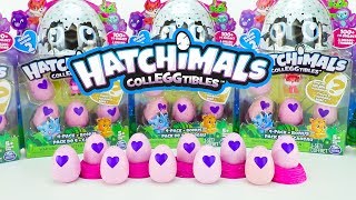 NEW Hatchimals CollEGGtibles Season 2 Hatching Hatchimals 2 Packs [upl. by Whiney]