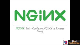 025 Configure NGINX as Reverse Proxy  Complete NGINX Training [upl. by Imotas]