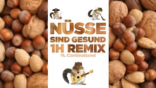 Nüsse sind gesund  Extended Cantina 1h Remix by NoooN amp Kati Breuer [upl. by Ariayek325]