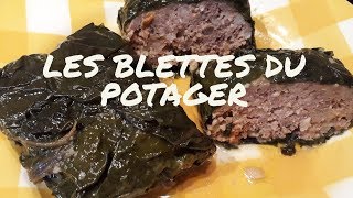 PETITS FARCIS aux BLETTES façon POPOTE En direct du Potager [upl. by Sankaran]