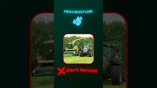 Process of Silage Making agricultureindustry silagefilm farm silage silagemachine kheti [upl. by Anavoig]