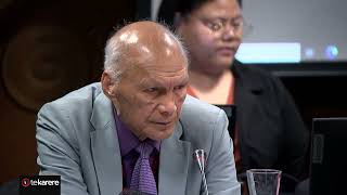 Waitangi Tribunal hears claims over Treaty Principles Bill [upl. by Say]