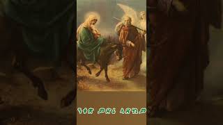 ንብዓታ ክፈስስ ሓሊፉ eritreanorthodox [upl. by Iramohs]