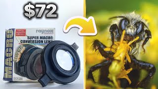 Raynox DCR250 Snapon Macro Lens Review [upl. by Alberta]