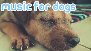 15 HOURS OF RELAXING DOG MUSIC Reduce Anxiety and Help Dogs Sleep [upl. by Polik586]