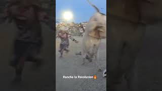 Rancho la Revoluzion explore viralvideo viralshort foryou fyp [upl. by Early]