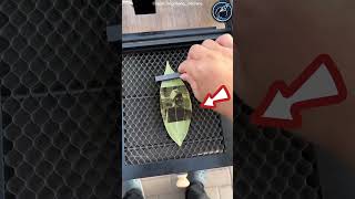 Amazing PrintOut on leaf 🖨😱 shorts viralvideo [upl. by Soni]