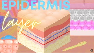 Integumentary Part 2 Epidermis Layer TagalogFilipino [upl. by Kimura]