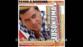 GATINHA MANHOSA 2011  PENSE E REPENSE [upl. by Odab]