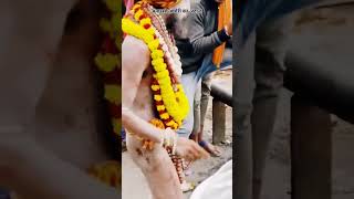 Manikarnika Ghat Mahakaleshwar Aghori Baba ka sthan Banarasi Kashi new video status 2025 [upl. by Paget407]