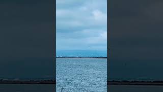 Neele Neele Ambar Par Kishore Kumar  Video San Francisco Bay Area coloroftheocean [upl. by Einnaj]