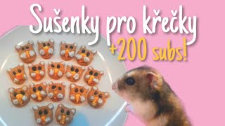 Recept na sušenky pro křečky200 odběratelů [upl. by Asset359]