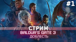 Baldurs Gate 3 ПРОХОЖДЕНИЕ ДОБЛЕСТЬ 1 [upl. by Ailb160]