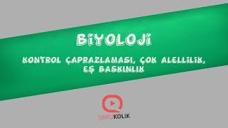 YKS Biyoloji Kontrol Çaprazlaması Çok Alellilik Eş Baskınlık Ödüllü Soru Var [upl. by Goto]