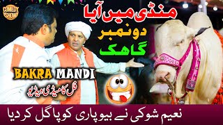 Bakra Mandi Ma Aya 2 No Gahak  BAKRA MANDI  Naeem Shoki vs Verra  Bakra Funny Video  Urdu Media [upl. by Eirased165]