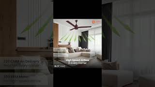 Orient Electric Zeno 1200mm BLDC Ceiling Fan with Remote  BEE 5star rated Energy Saving Fan [upl. by Ailisec]