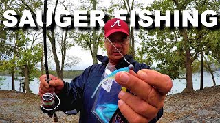 How To Catch Sauger Sauger Fishing Tips Technique Setup amp More [upl. by Laved319]