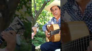 Linda Morenita  Ranchera con Guitarra y Requinto  shorts [upl. by Monda]