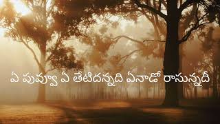 akasam enatido song lyrics goldenhits telugusongsmelody melo [upl. by Amjan219]