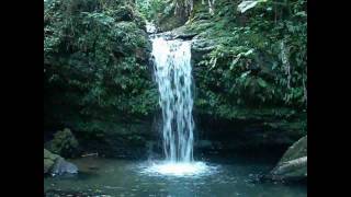 El Yunque Puerto Rico Juan Diego Falls [upl. by Animrelliug835]