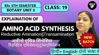 Amino Acid Synthesis in PlantsReductive Amination amp TransaminationBSc 5th Semester BOTANY Unit 3 [upl. by Razec263]